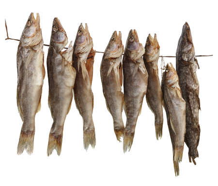 Dried fish hanging  on a white background