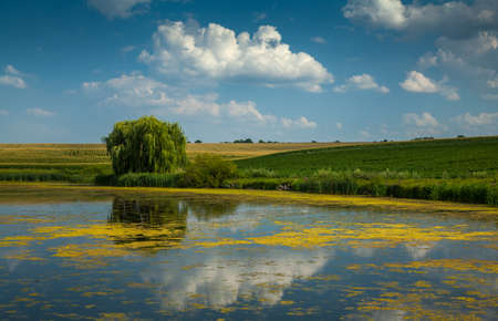 Pond among the fields in which clouds are reflected