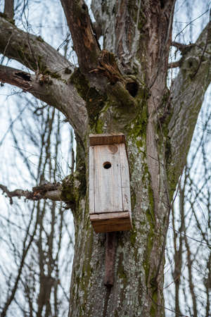 Spring birdhouses in the trees are boxes, usually resembling a house intended for a bird's nest.