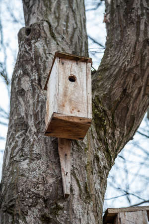 Spring birdhouses in the trees are boxes, usually resembling a house intended for a bird's nest.の写真素材