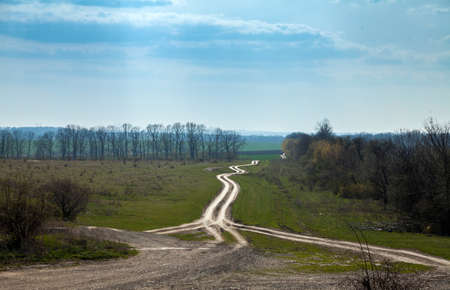 Country dirt road leaving into the distanceの写真素材
