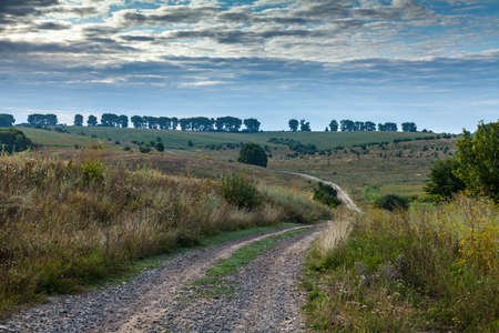 The road passes through a plain among abandoned fieldsの写真素材