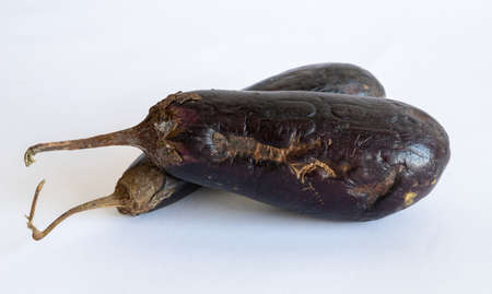 Bad spoiled eggplant on a light backgroundの写真素材