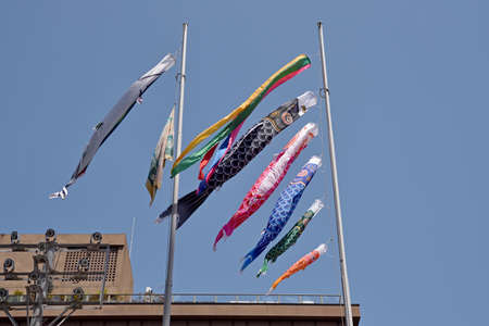 Koinobori is a Japanese decoration that flutters in the wind, made of paper or fabric with a pattern of carp.の写真素材