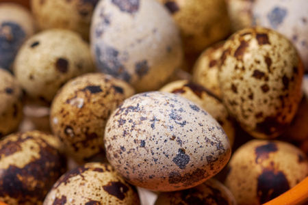 Quail eggs on brown wooden background.