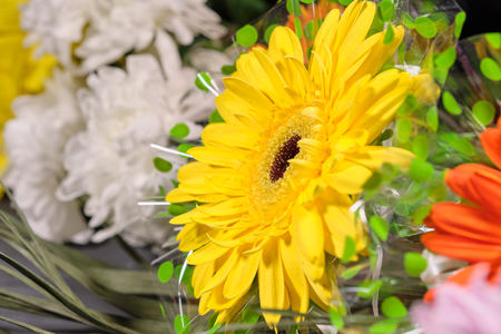 Colorful flowers on grey background.Bouquet of flowers. Close up. Selective focusの写真素材