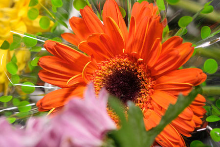 Colorful flowers on grey background.Bouquet of flowers. Close up. Selective focusの写真素材