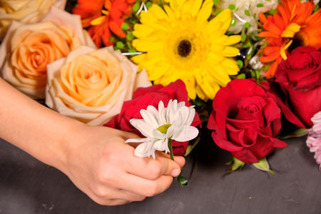 Colorful flowers in female hands . Bouquet of flowers. Close upの写真素材