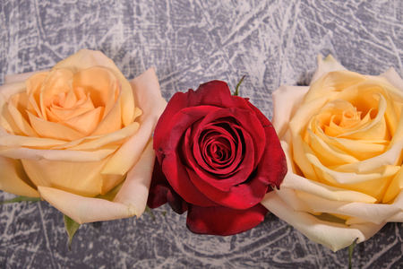Colorful flowers on grey background.Bouquet of flowers. Close upの写真素材