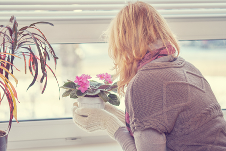 A woman in  sweater and  mittens with a flower looking out the window.の写真素材