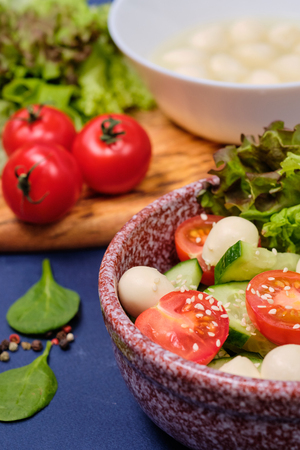 fresh vegetables and a bowl of salad with mozzarella on a blue background. The ingredients for a Caprese salad . Lettuce, cherry tomatoes, mozzarella, lemon. Close upの写真素材