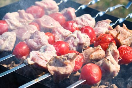 Grill skewer with meat and vegetables in nature. Skewers on the grillの写真素材