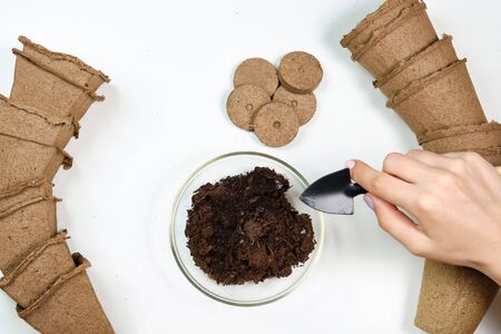 Tools, seeds, peat pots and pressed ground for seedlings. Copyspace for text, top view. Growing food on windowsill. Flatlay on white wooden backgroundの写真素材