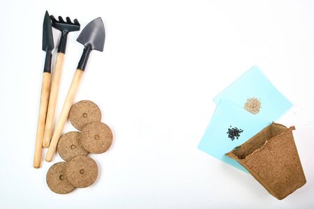 Tools, seeds, peat pots and pressed ground for seedlings. Copyspace for text, top view. Growing food on windowsill. Flatlay on white wooden backgroundの写真素材
