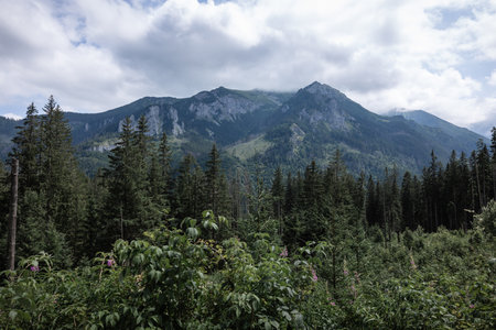 Zakopane, Tatra mountains in the fogの写真素材