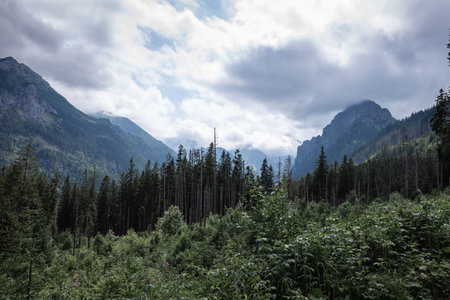 Zakopane, Tatra mountains in the fogの写真素材