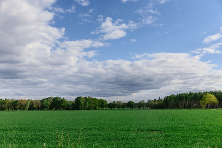 beautiful summer landscape nature background panoramaの写真素材