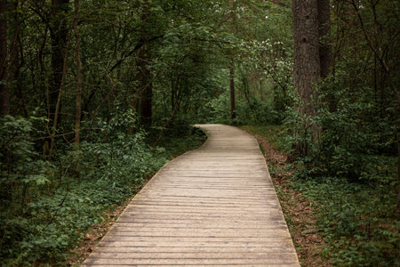 Wooden walkway path over sandy hill toward the coast