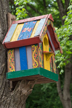 Wooden nesting box with a multi-colored patternの写真素材