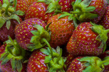 strawberries closeupの写真素材