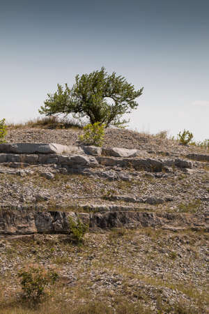 Layers of rock and lonely tree in the mountain district. Russia, Lysaya Mountain areaの写真素材