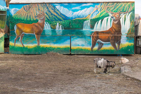 PYATIGORSK, RUSSIA - JANUARY 6, 2015: Figure of deer in the mobile trailer Moscow Zoo \"Safari\"のeditorial素材