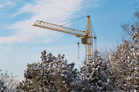 Yellow Crane Tower on the background of a winter spruce forestの写真素材
