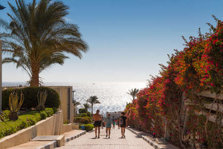 SHARM EL-SHEIKH, EGYPT - NOVEMBER 30, 2014: Vacationers on a sunny day go to the beachのeditorial素材