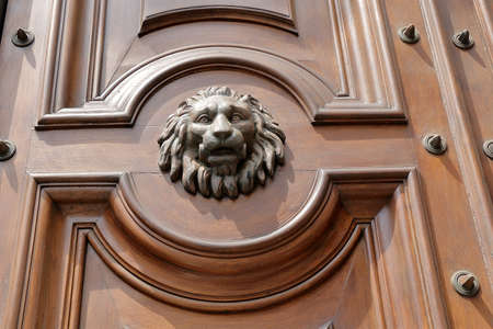 The muzzle of lion on old wooden door of brown colorの写真素材