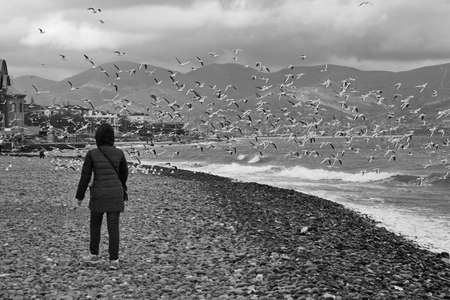 A girl on a stony bank watching the flying seagulls. Tsemess Bay in the Black Sea. Novorossiysk, Russiaの写真素材