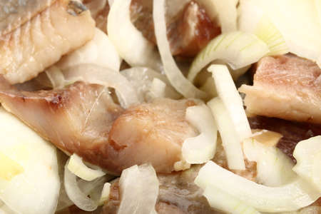 Sliced salted herring with fresh onion close-up. Background