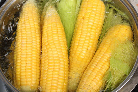 Ripe corn heads in a pan with boiling water. The concept of cooking