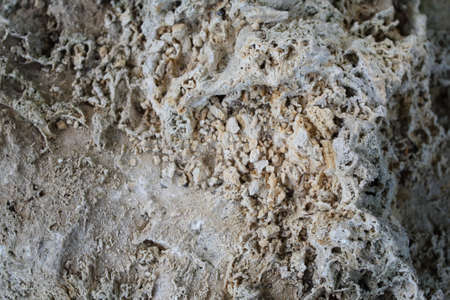 White volcanic rock. Natural backgroundの写真素材