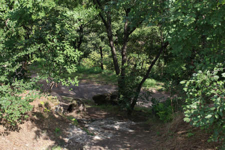 Path in the woods in the mountains. Hiking conceptの写真素材