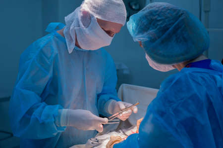 Children's surgeons perform urological operations. A man and a woman in a mask and a blue sterile...