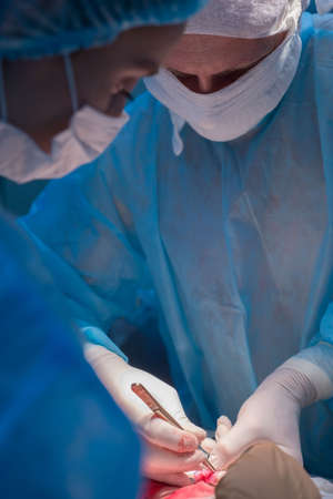 Children's surgeons perform urological operations. A man and a woman in a mask and a blue sterile...