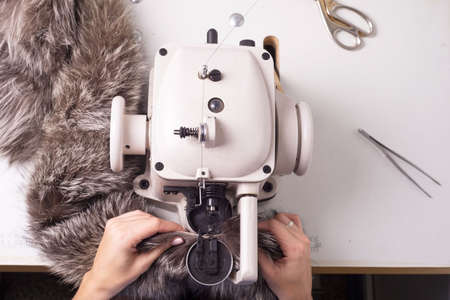 Top view of the work of a professional fur fabricator. Workplace designer sewing machine. Sewing clothes from raccoon. Animal fur, designer fur coat. manufacturing process of fur productsの写真素材
