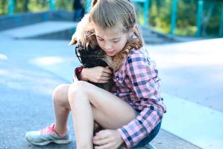 children girl kissing her puppy chihuahua doggy on the wood fenceの写真素材