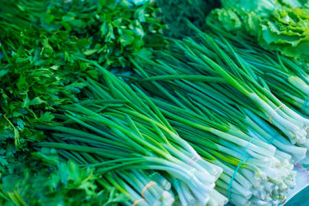 Fresh green saladclose-up texture of green salad, onion, parsley, cilantro, dillの写真素材