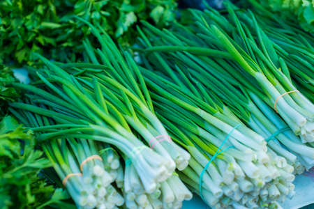 green onion with chives on display closeup green onion texture. Raw greens, vitamin salad. Healthy nutrition, diet food.の写真素材