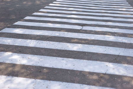 crosswalk white lines of a pedestrian crossing. Road safety. Crossing transition, zebra, danger on the road, attentive path.の写真素材