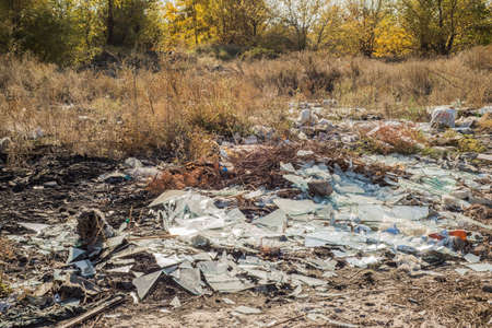 the forest is polluted by waste. Plastic waste in nature. Environmental pollution. The forest is...