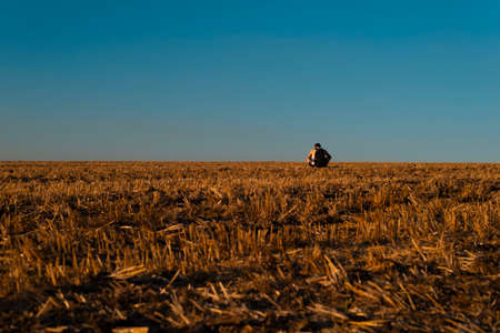 wheat field landscape, empty field after harvest. blue - yellow landscape, and sky Wheat field with blue sky with sun and clouds.の写真素材