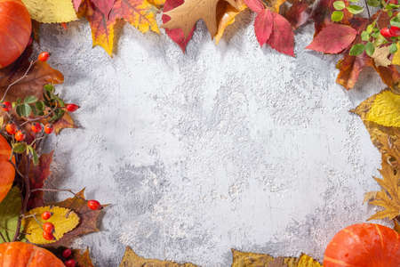 autumn flatlay top view. objects on gray-white texture. autumn leaves. holiday gift Autumn...