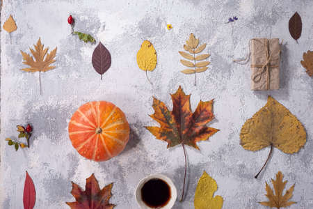 autumn tea top view, on gray-white texture with autumn leaves of warm shades Mug with tea bag and...