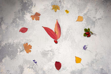 autumn hours, autumn time. Arrows and numbers lined with autumn leaves on textured gray wall black...