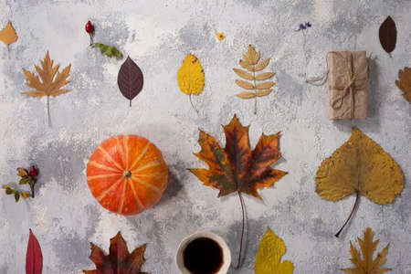 autumn flatlay top view. objects on gray-white texture. autumn leaves. holiday gift Autumn composition. Cup of coffee, blanket, autumn leaves on black background. Flat lay, top view, squareの写真素材