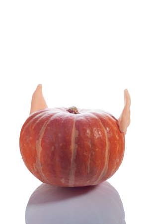 pumpkin with elf ears halloween isolate on white background.の写真素材