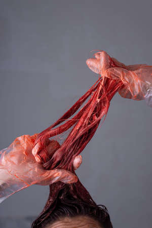 the process of self-dyeing hair in red. portrait of a girl holding her dyed hair in gloves. Studio portrait on gray background Woman with color dyed hair, close up view. Trendy hairstyleの写真素材