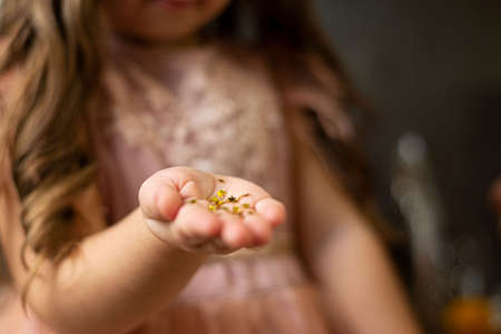 child girl holding christmas decorative snowflakes shiny defocus blur.の写真素材